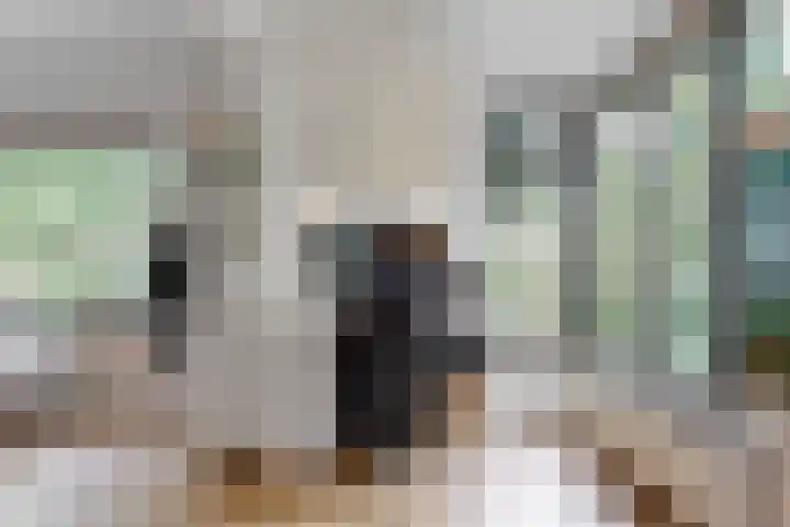 Hankweg 2 Renkum thumbnail 6