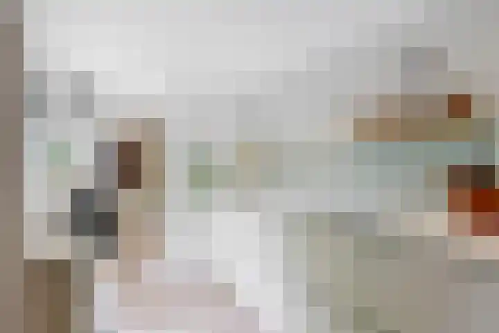 Hankweg 2 Renkum thumbnail 8