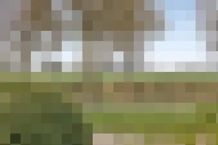 Foto van Hanna Junger