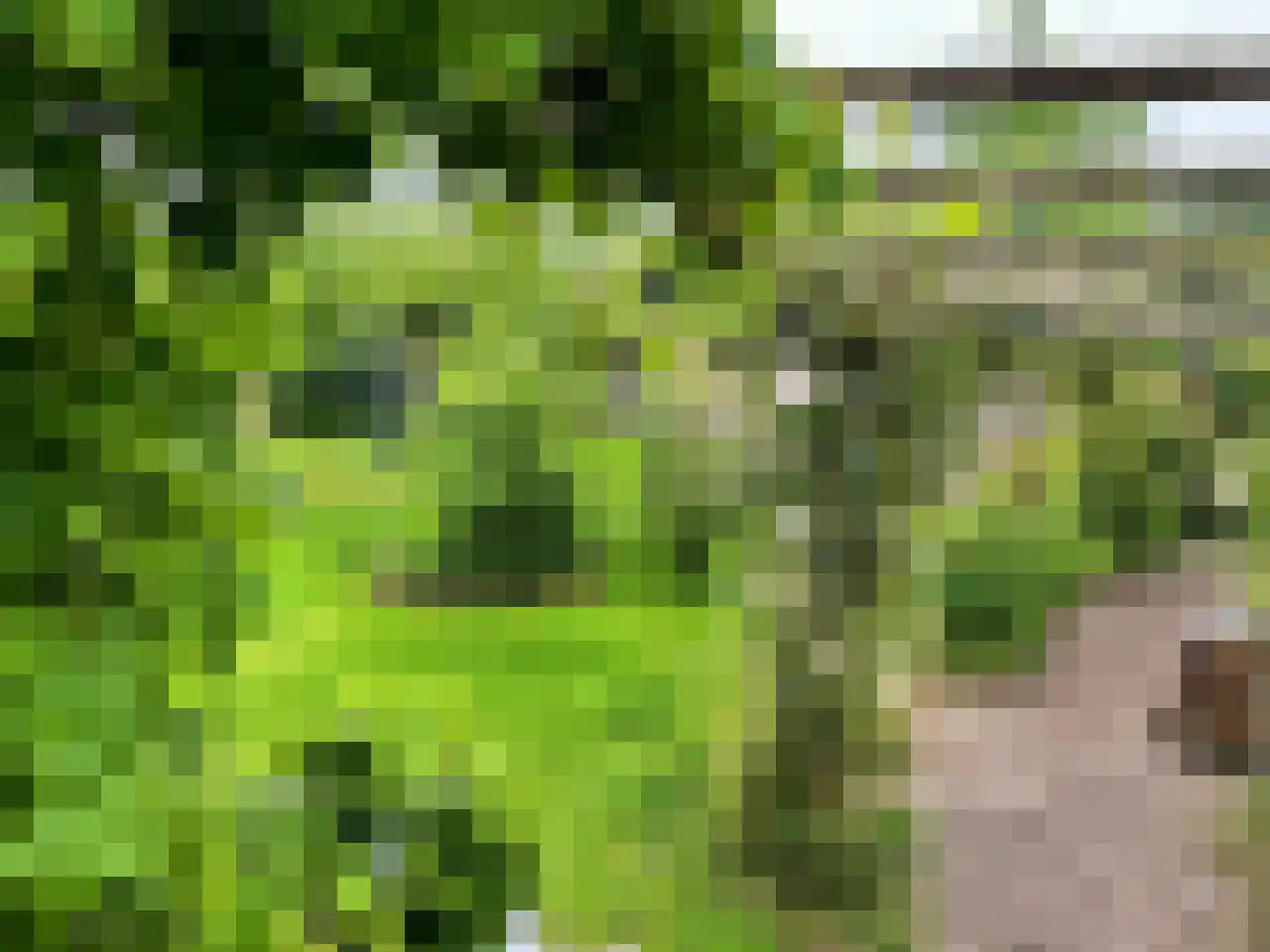 Hannah Arendtweg 52 Almere thumbnail 101
