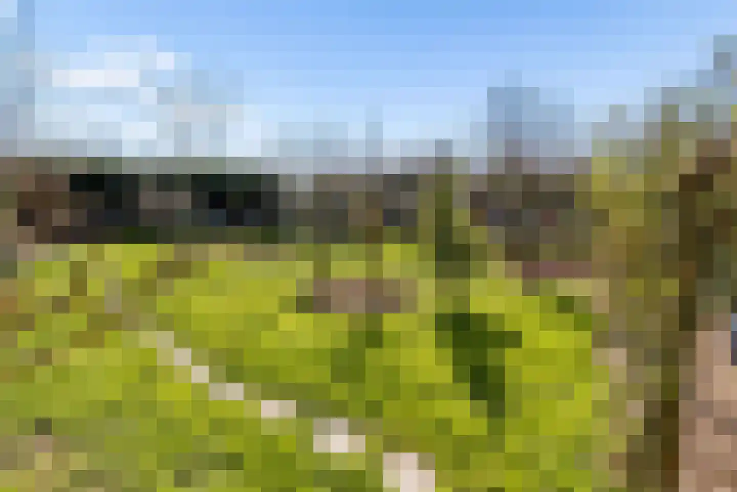 Hannah Arendtweg 52 Almere thumbnail 59