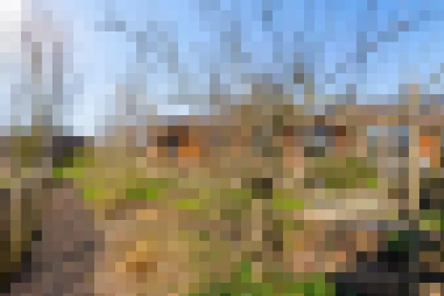 Hannah Arendtweg 52 Almere thumbnail 64