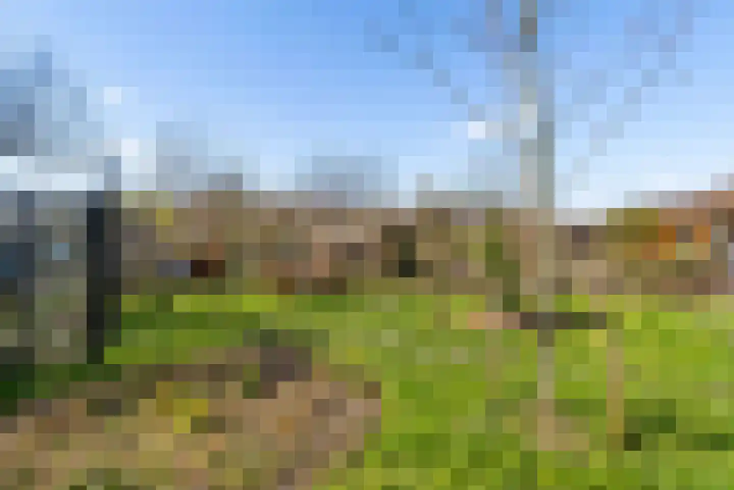 Hannah Arendtweg 52 Almere thumbnail 67