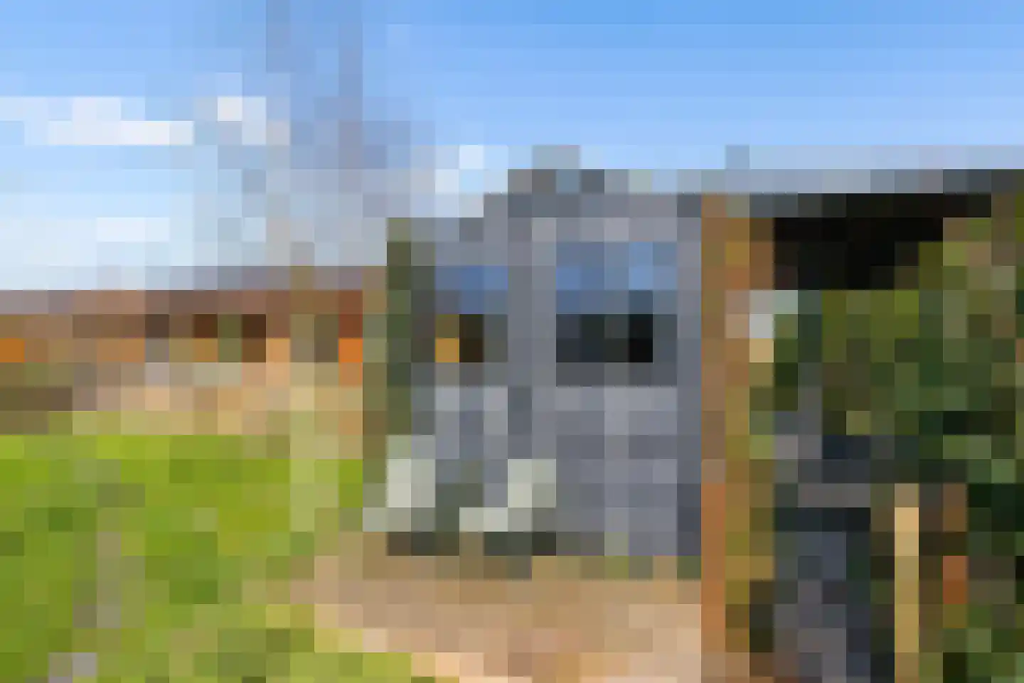 Hannah Arendtweg 52 Almere thumbnail 68