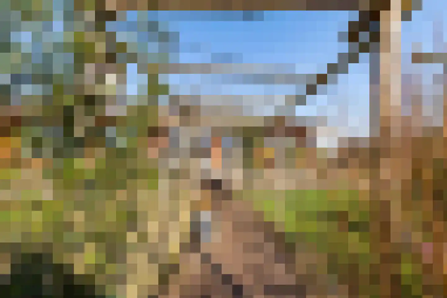 Hannah Arendtweg 52 Almere thumbnail 79