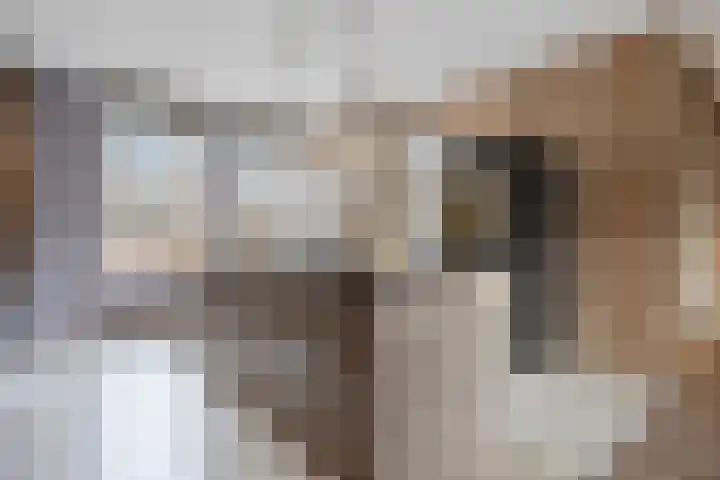 Hannah Höchpad 17 Rotterdam thumbnail 13