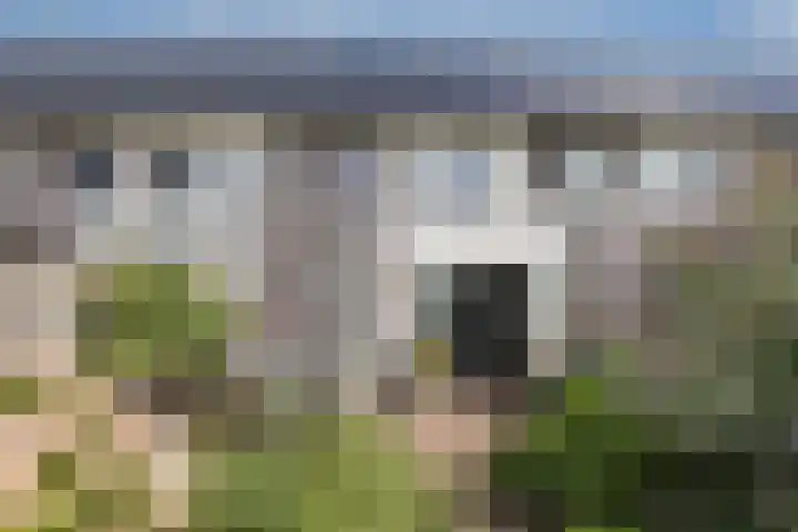 Hannanstraat 11 Zutphen thumbnail 25