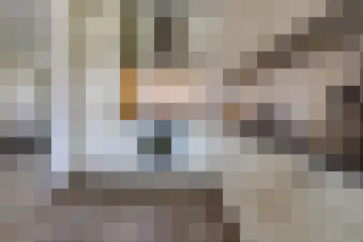 Hanne Bruininghstraat 54 Musselkanaal thumbnail 15