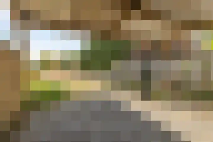 Hanne Bruininghstraat 63 Musselkanaal thumbnail 35