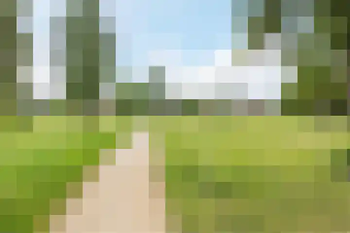 Hanne Bruininghstraat 76 Musselkanaal thumbnail 33