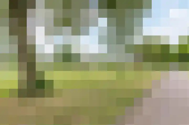Hanne Bruininghstraat 76 Musselkanaal thumbnail 34