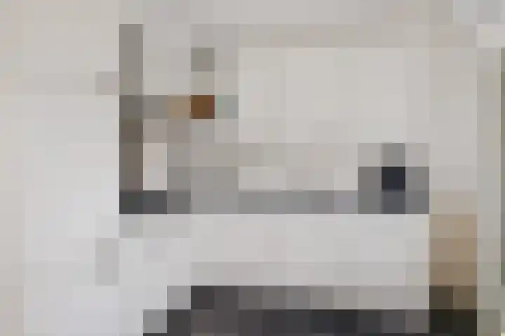 Hanne Bruininghstraat 91 Musselkanaal thumbnail 8