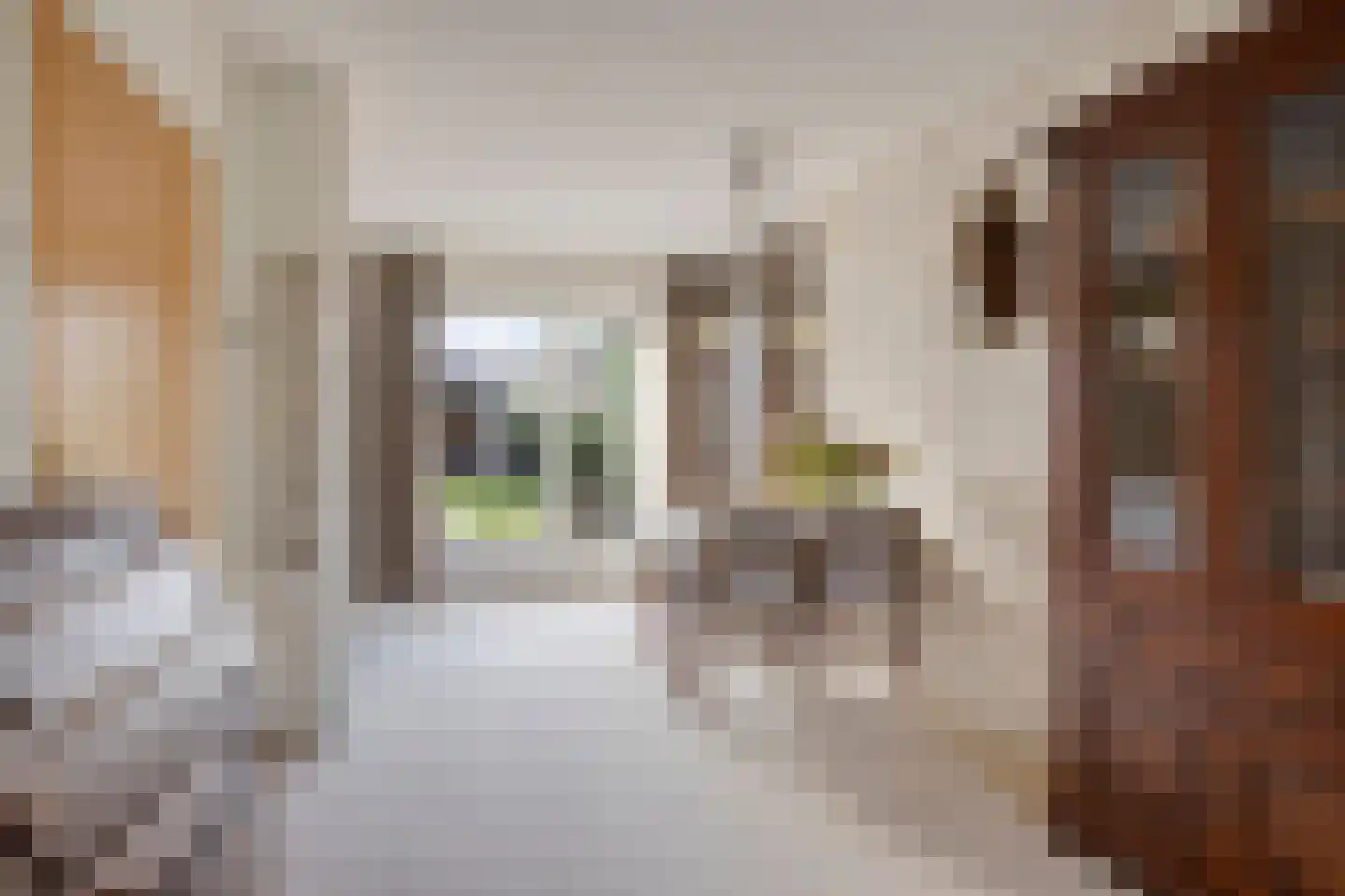Hannekerveldweg 2 Losser thumbnail 12