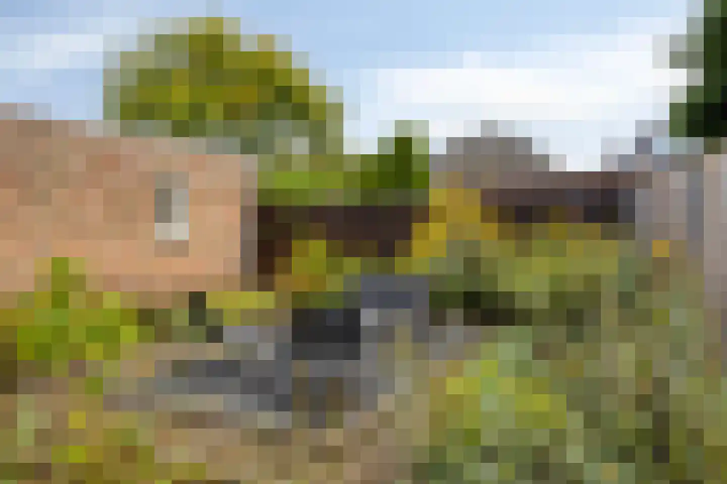 Hannekerveldweg 2 Losser thumbnail 34