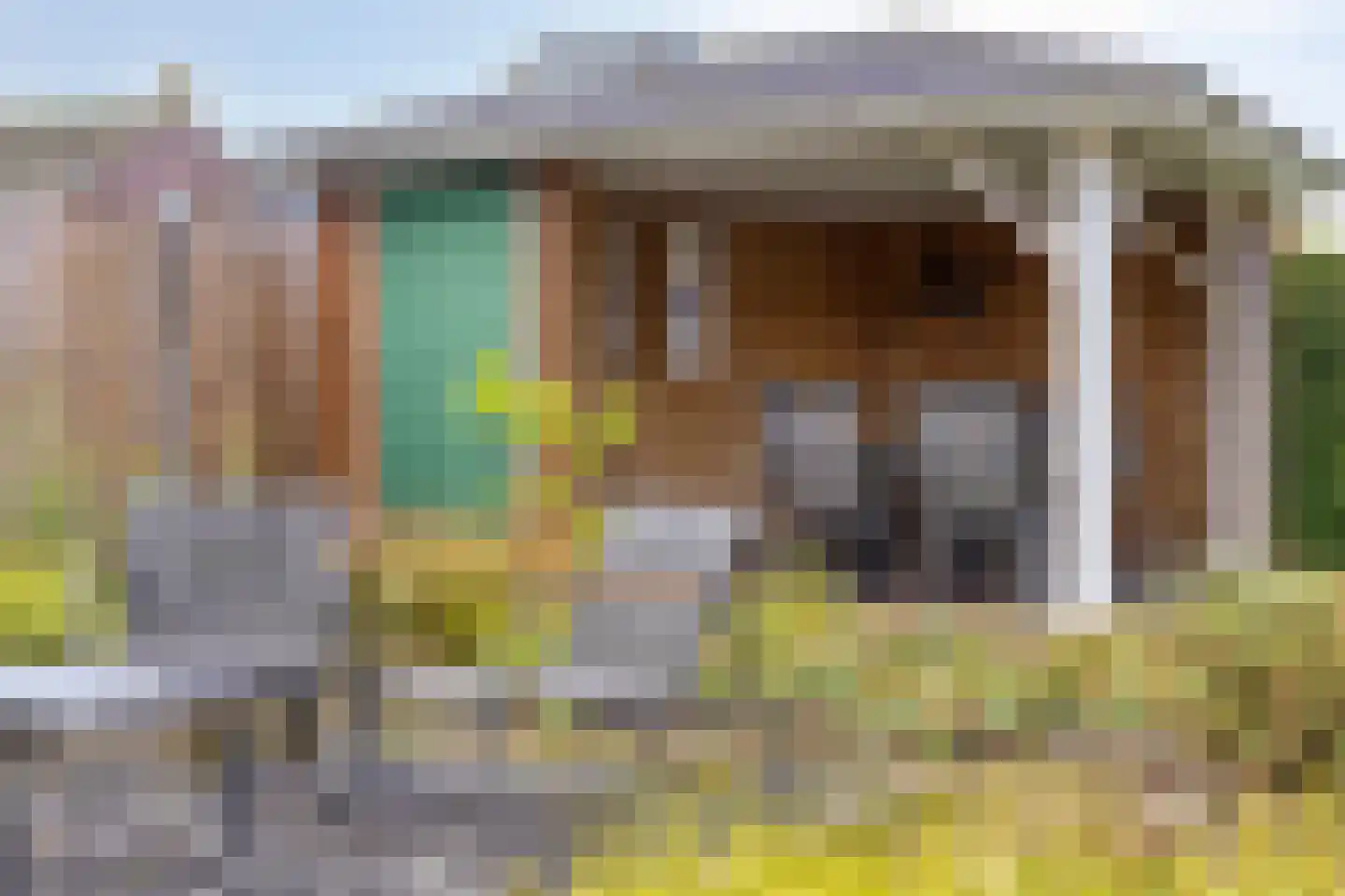 Hannekerveldweg 2 Losser thumbnail 35