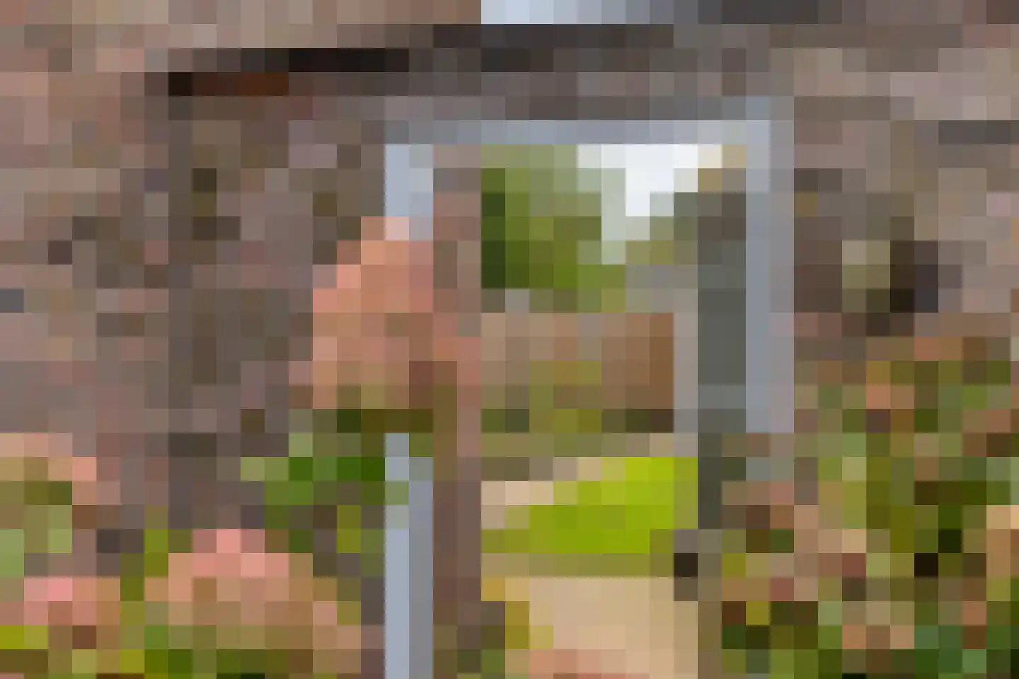 Hannekerveldweg 2 Losser thumbnail 39