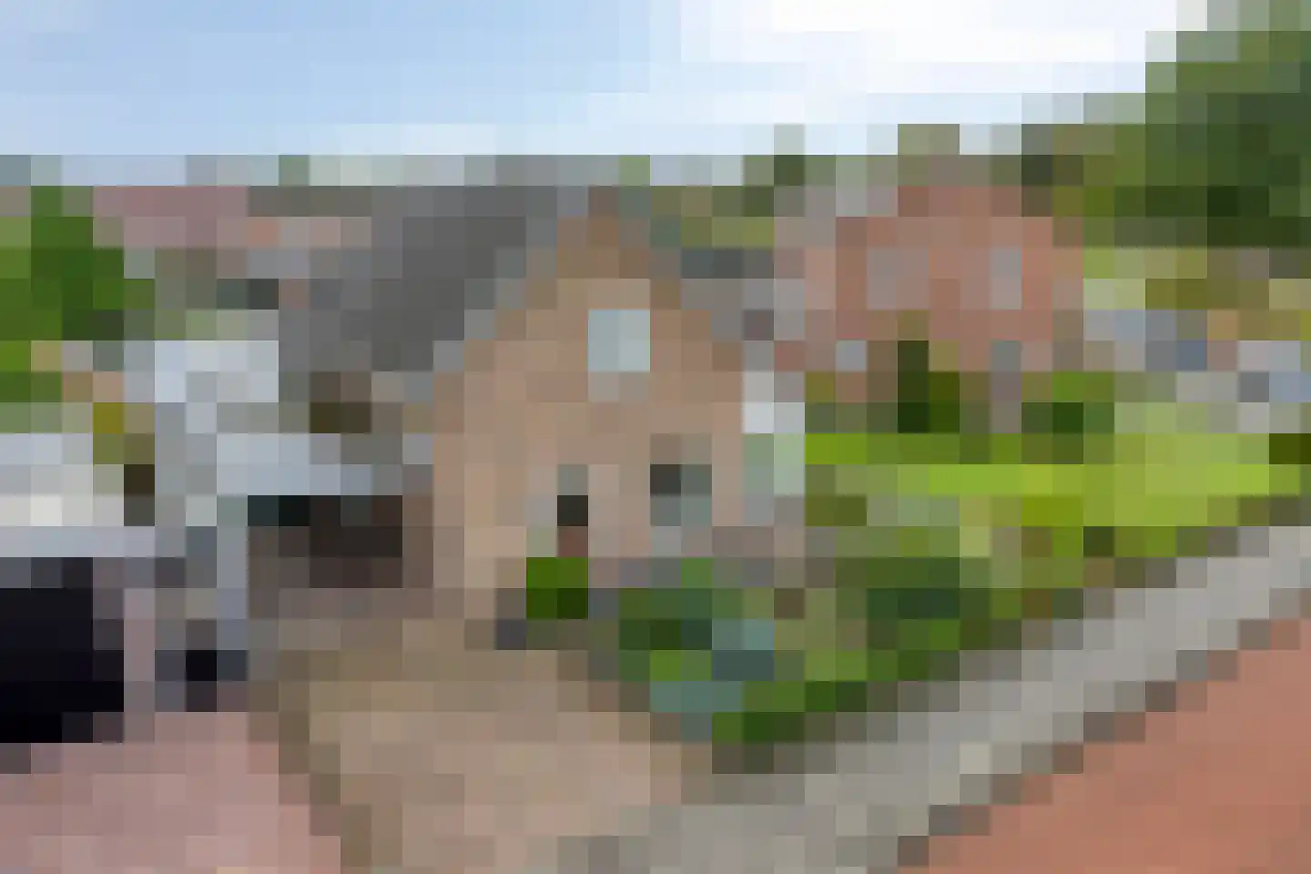 Hannekerveldweg 2 Losser thumbnail 43