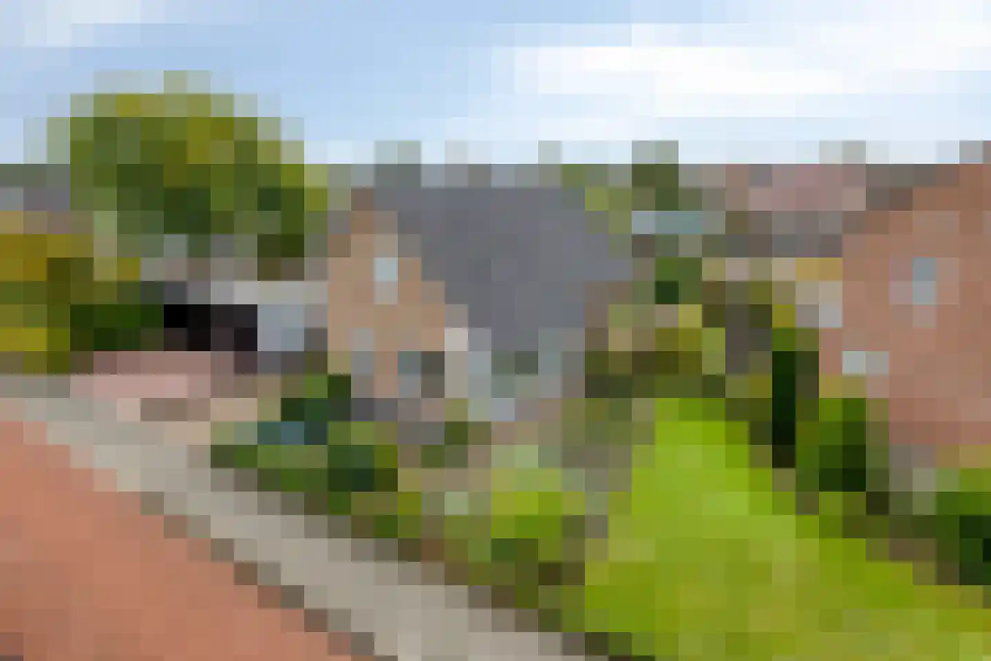 Hannekerveldweg 2 Losser thumbnail 44