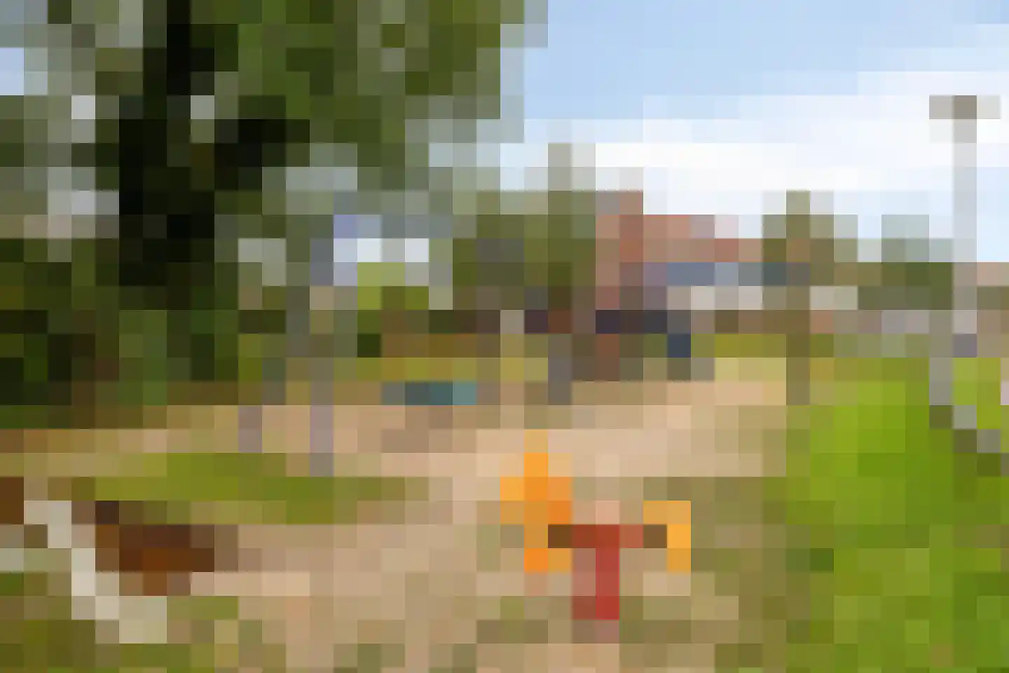 Hannekerveldweg 2 Losser thumbnail 48