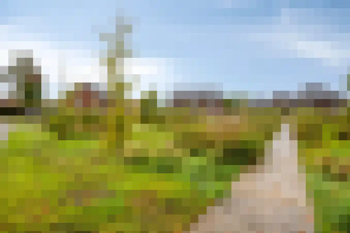 Hannekerveldweg 2 Losser thumbnail 49
