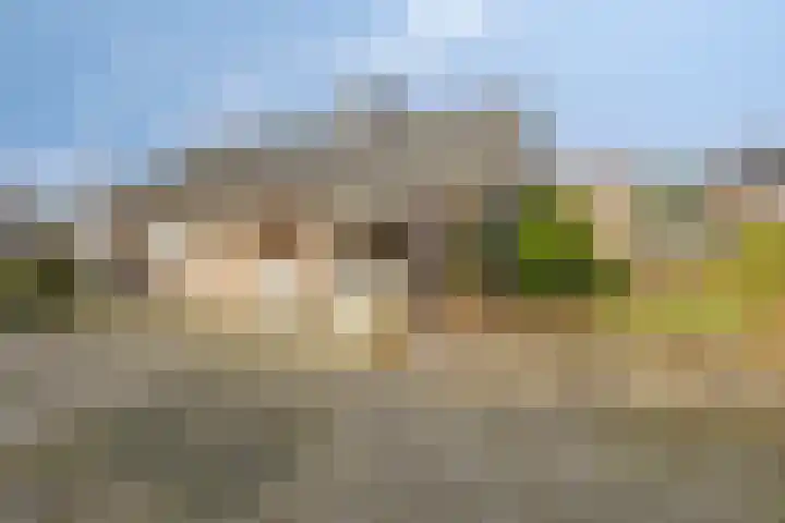 Hannekerveldweg 42 Losser thumbnail 17