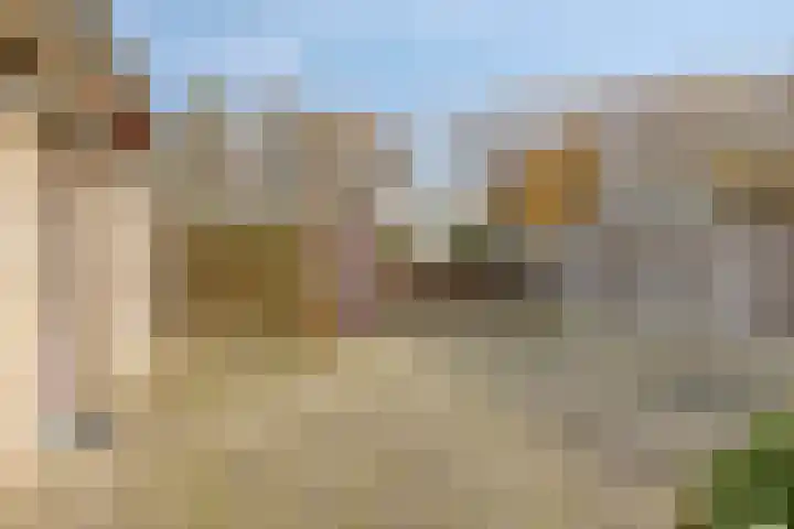 Hannekerveldweg 42 Losser thumbnail 18