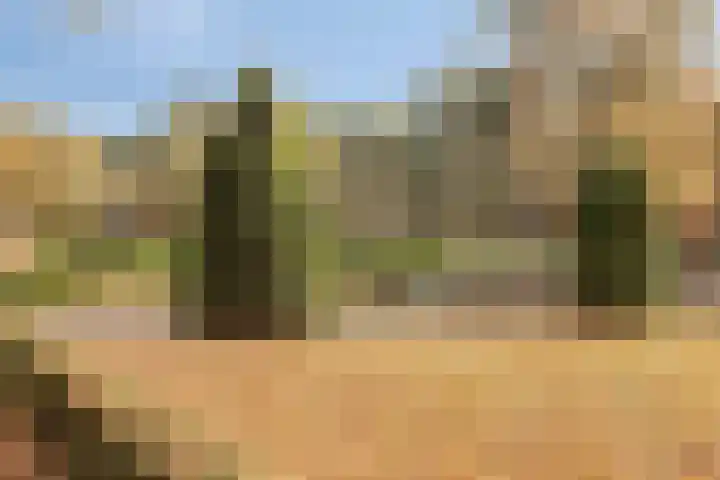 Hannekerveldweg 42 Losser thumbnail 23