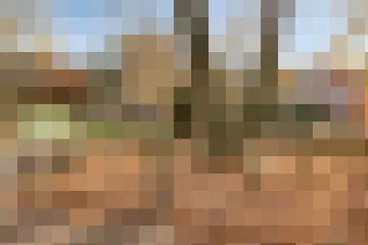 Hannekerveldweg 42 Losser thumbnail 24