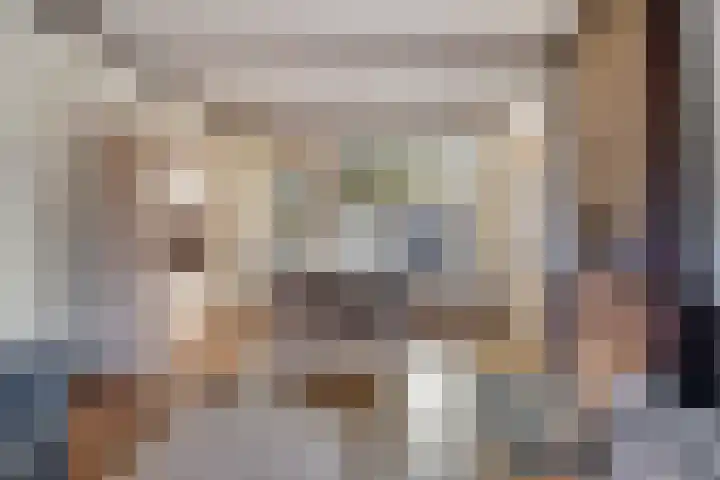 Hannekerveldweg 42 Losser thumbnail 4
