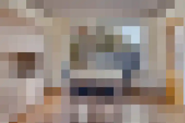 Hannekerveldweg 42 Losser thumbnail 5