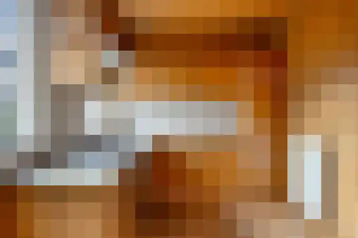 Hannekerveldweg 42 Losser thumbnail 6