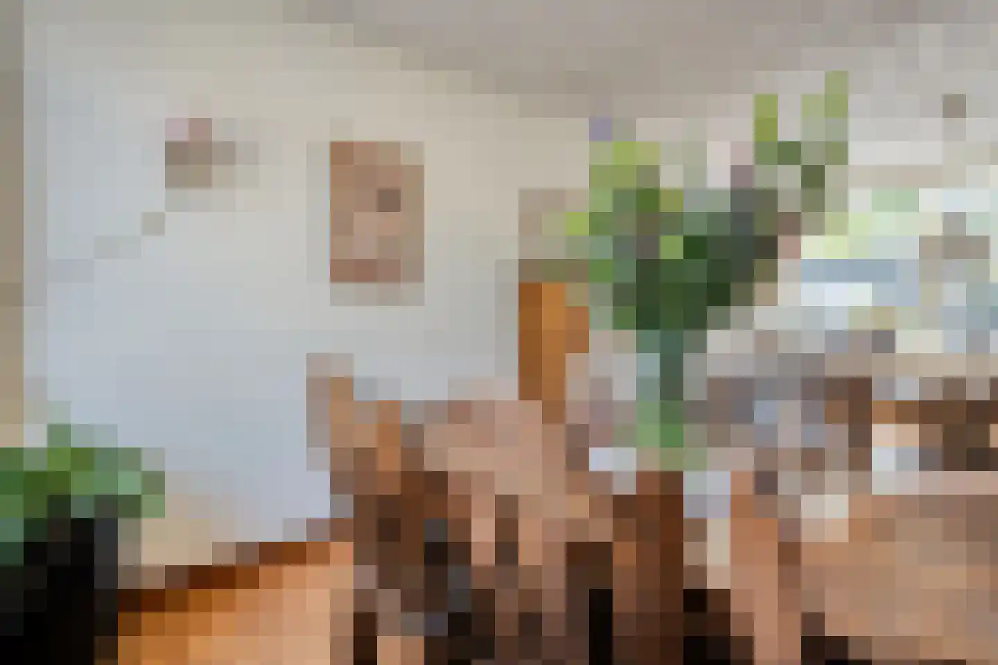 Hannekerveldweg 46 Losser thumbnail 18