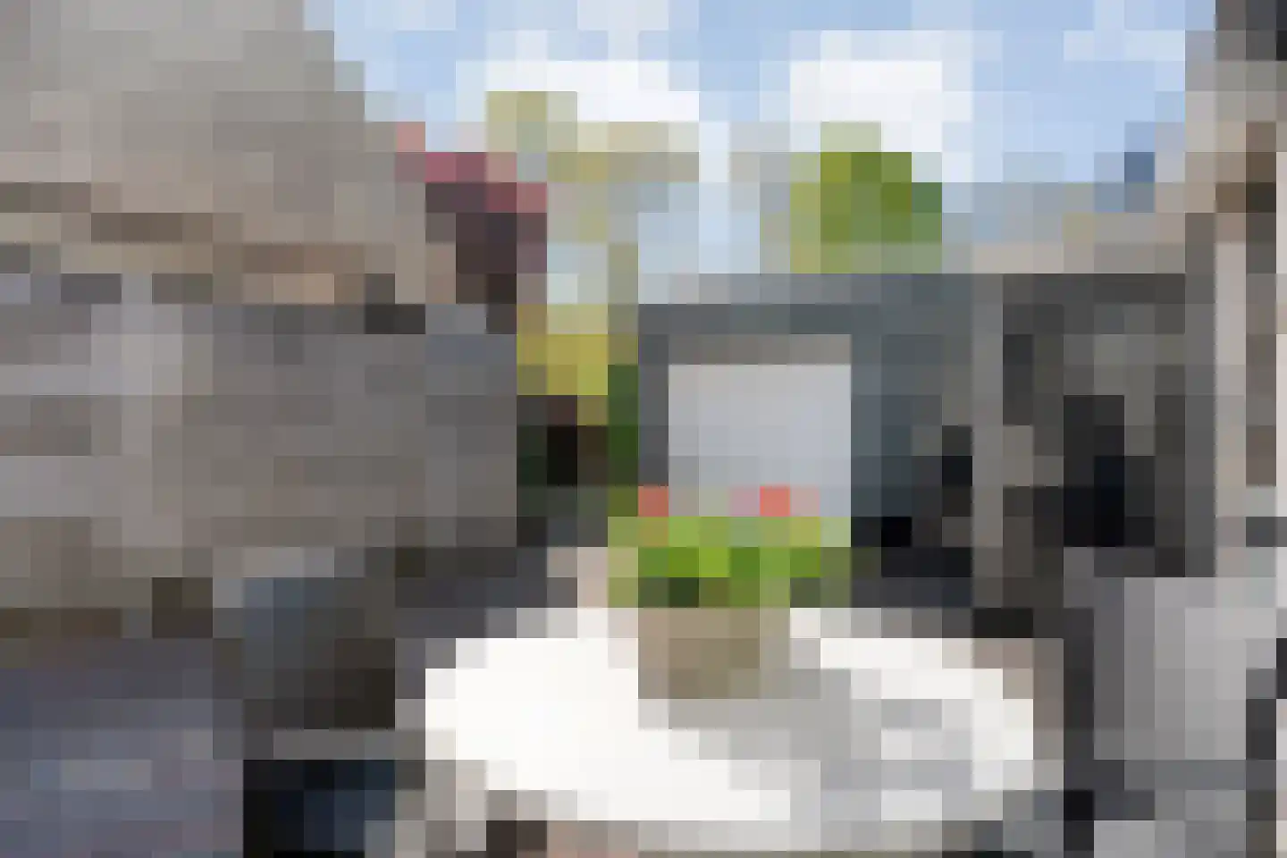 Hannekerveldweg 46 Losser thumbnail 36
