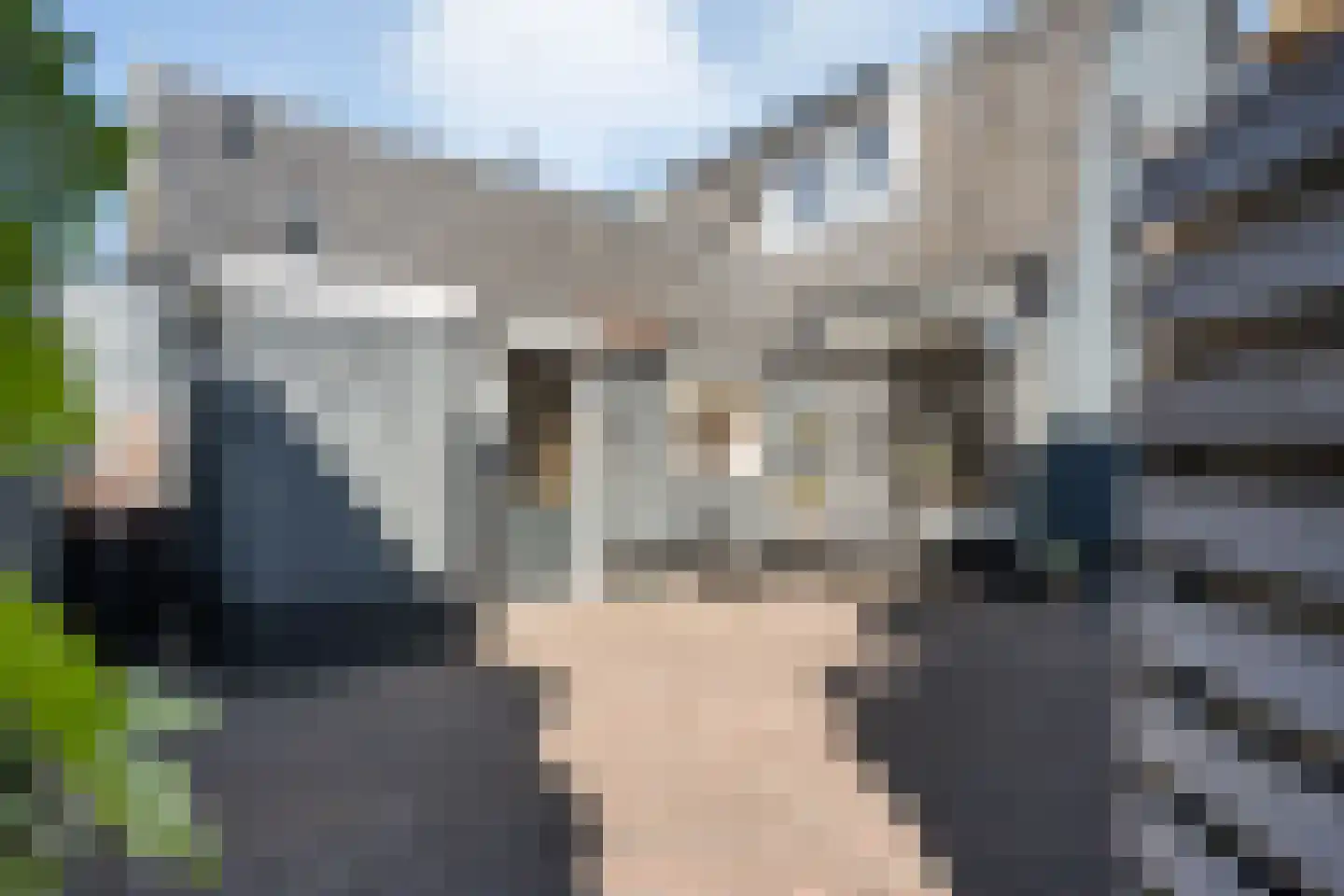 Hannekerveldweg 46 Losser thumbnail 37