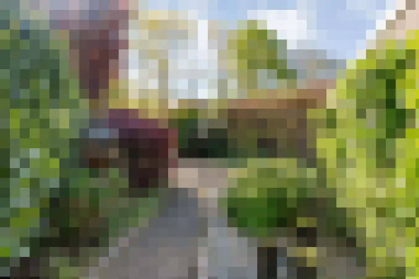Hannekerveldweg 46 Losser thumbnail 40