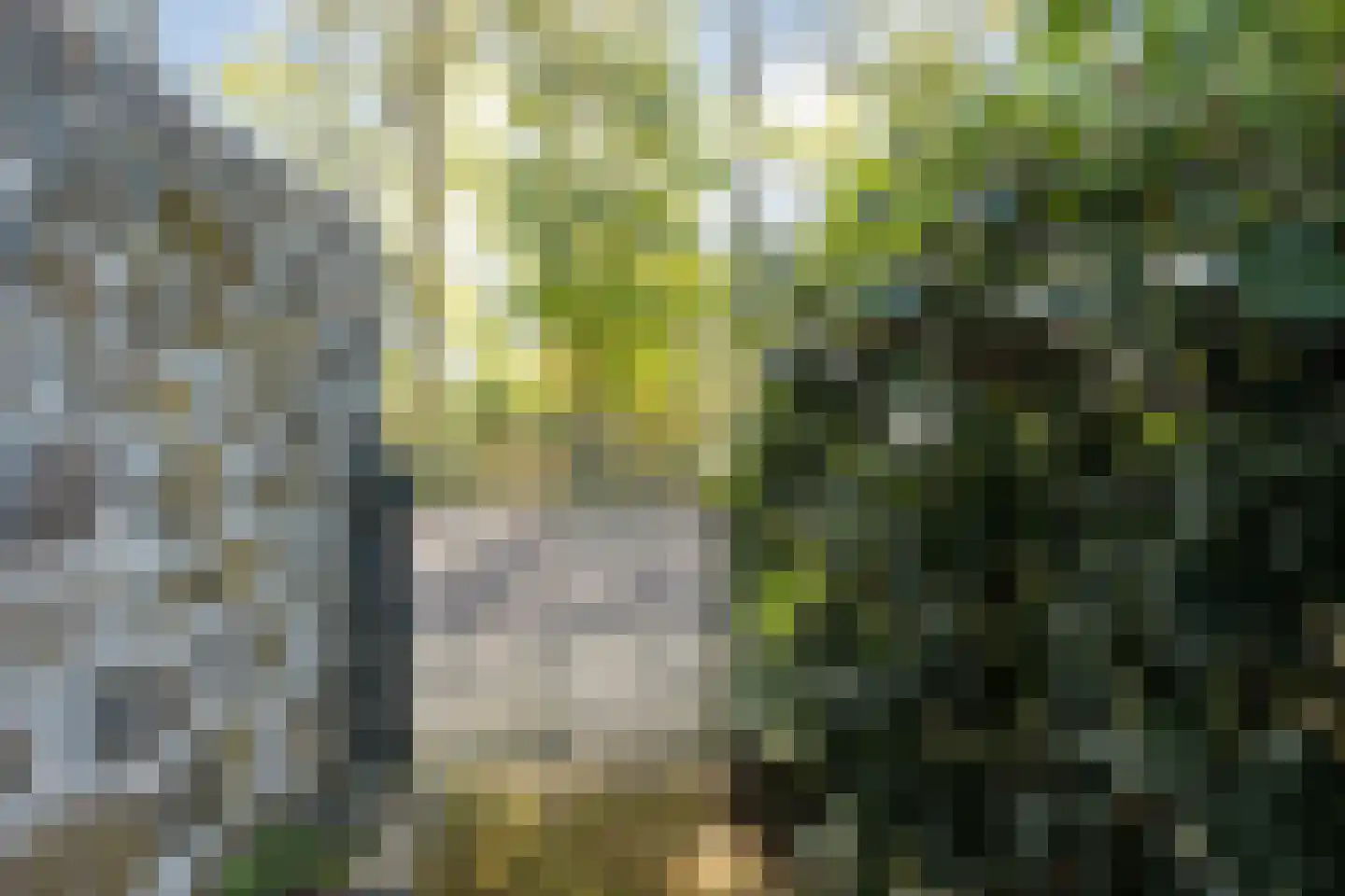 Hannekerveldweg 46 Losser thumbnail 43