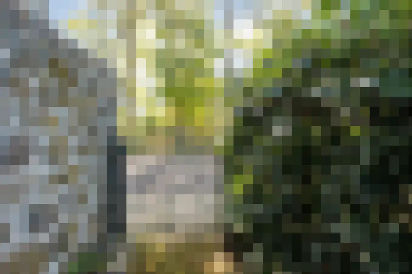 Hannekerveldweg 46 Losser thumbnail 43