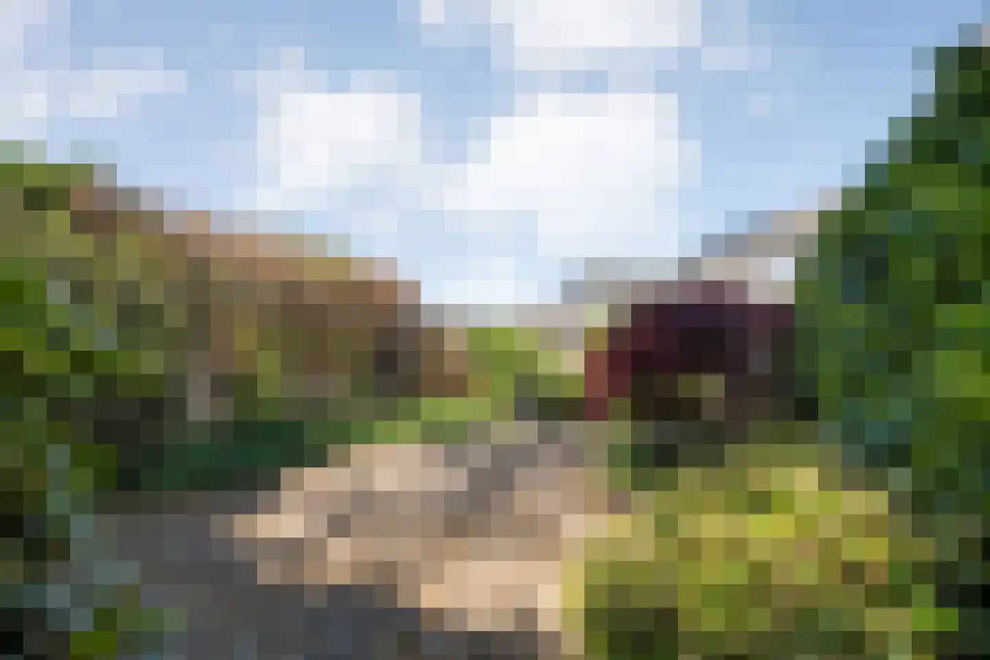 Hannekerveldweg 46 Losser thumbnail 44