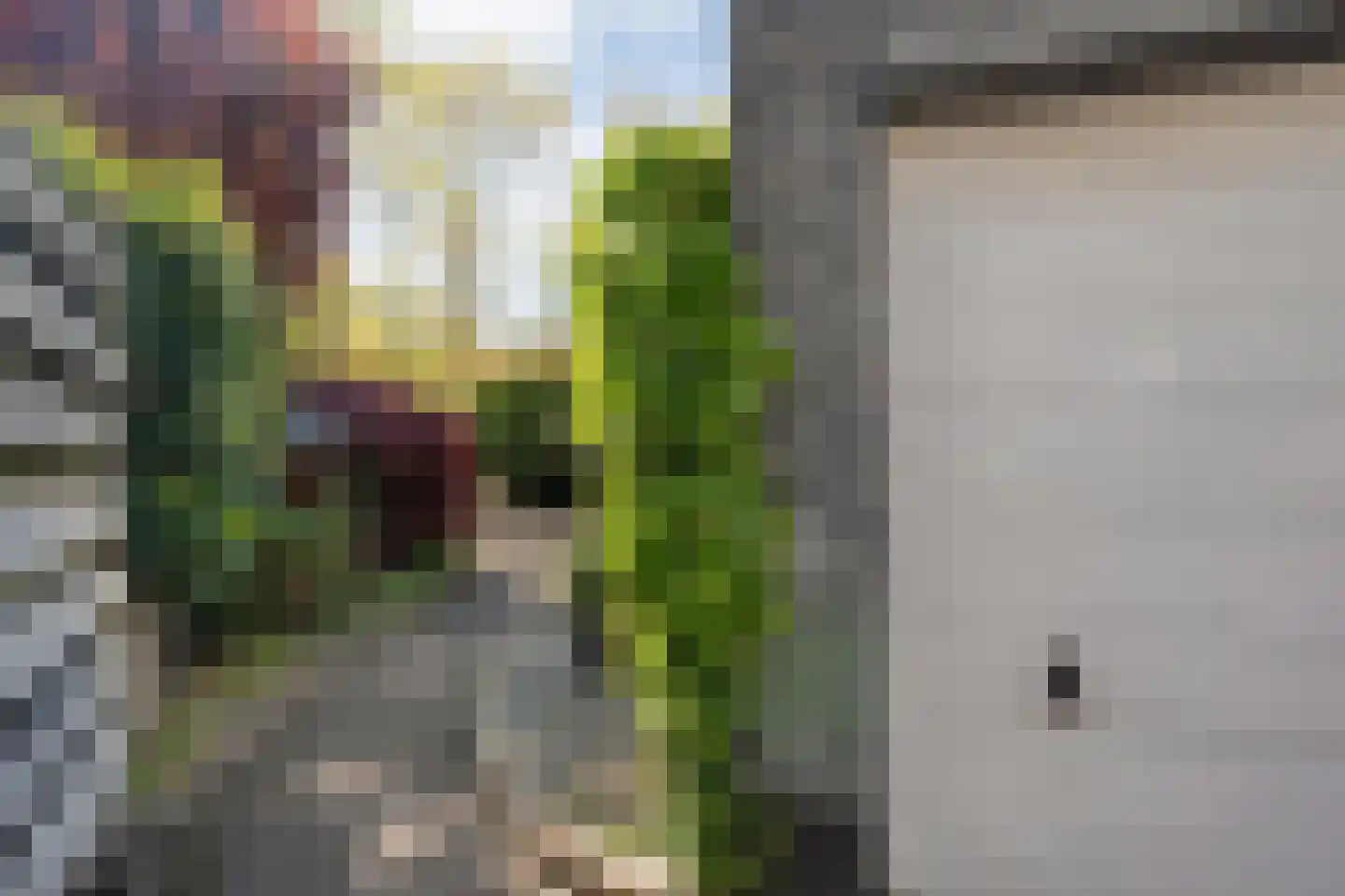 Hannekerveldweg 46 Losser thumbnail 45