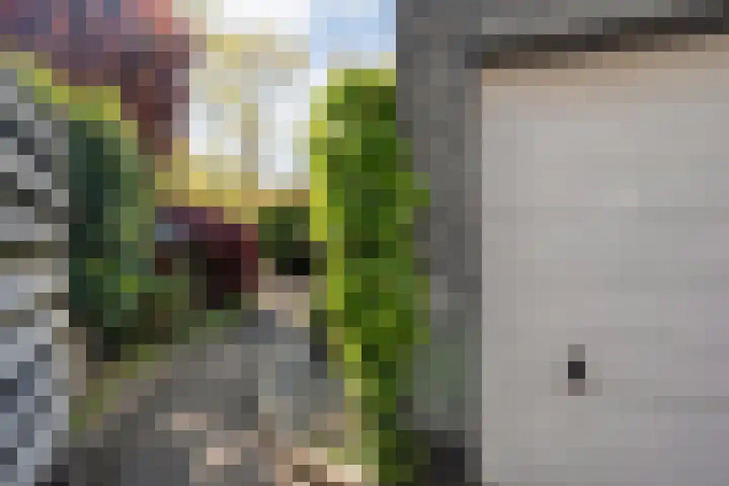 Hannekerveldweg 46 Losser thumbnail 45