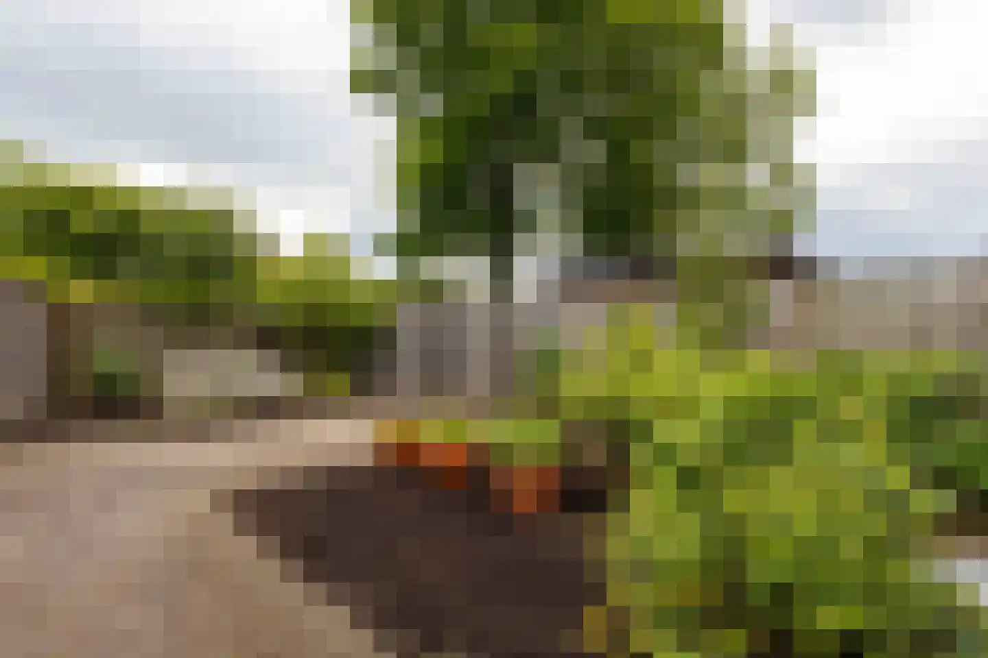 Hannekerveldweg 9 Losser thumbnail 5