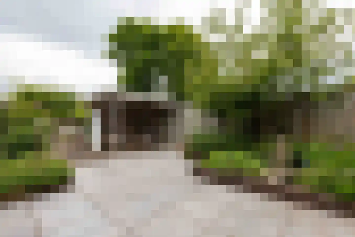 Hannekerveldweg 9 Losser thumbnail 6
