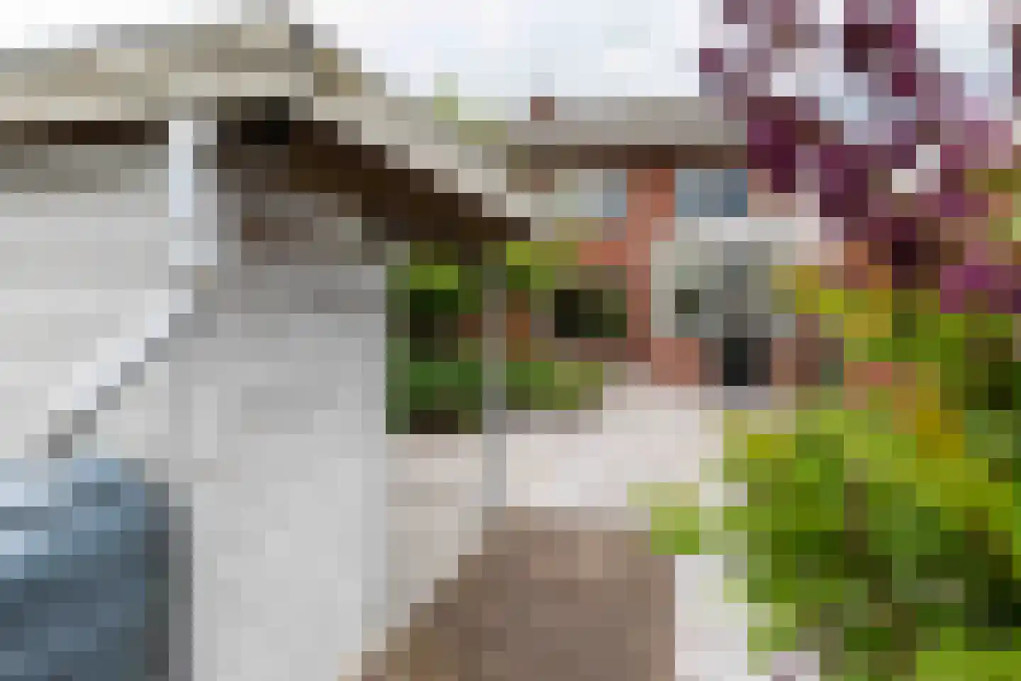Hannekerveldweg 9 Losser thumbnail 8