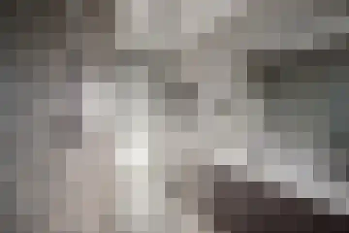 Hannes Kempkensweg 34 Montfort thumbnail 15