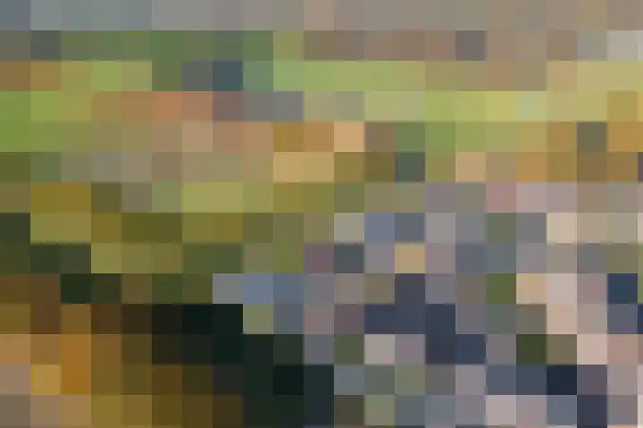 Hannes Kempkensweg 34 Montfort thumbnail 26