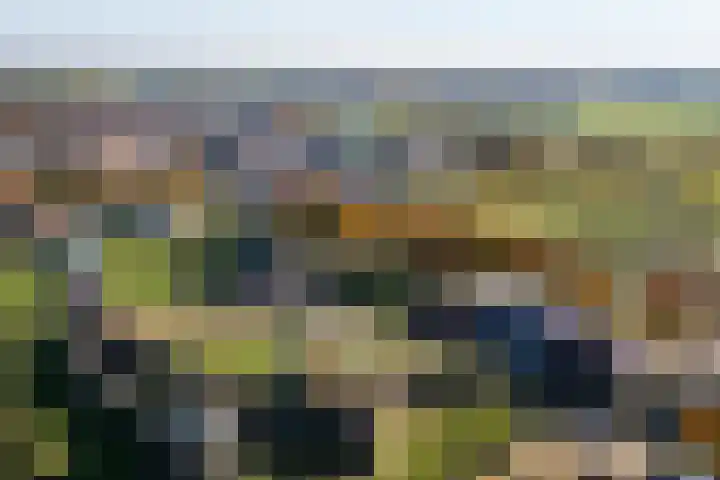 Hannes Kempkensweg 34 Montfort thumbnail 28