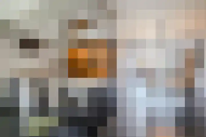 Hannes Kempkensweg 34 Montfort thumbnail 8