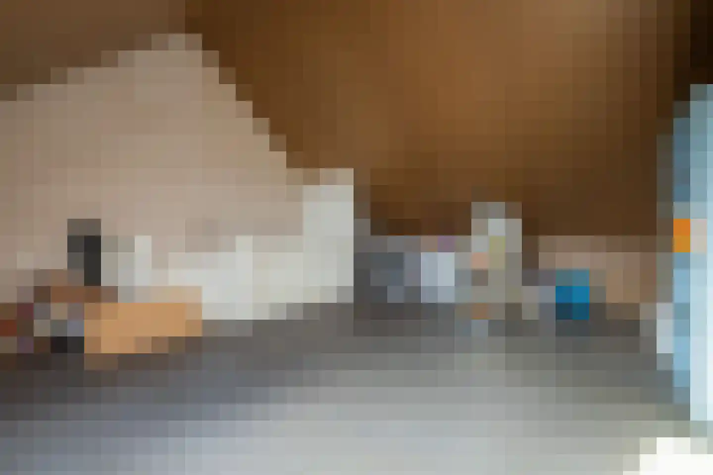 Hannes Kempkensweg 48 Montfort thumbnail 16