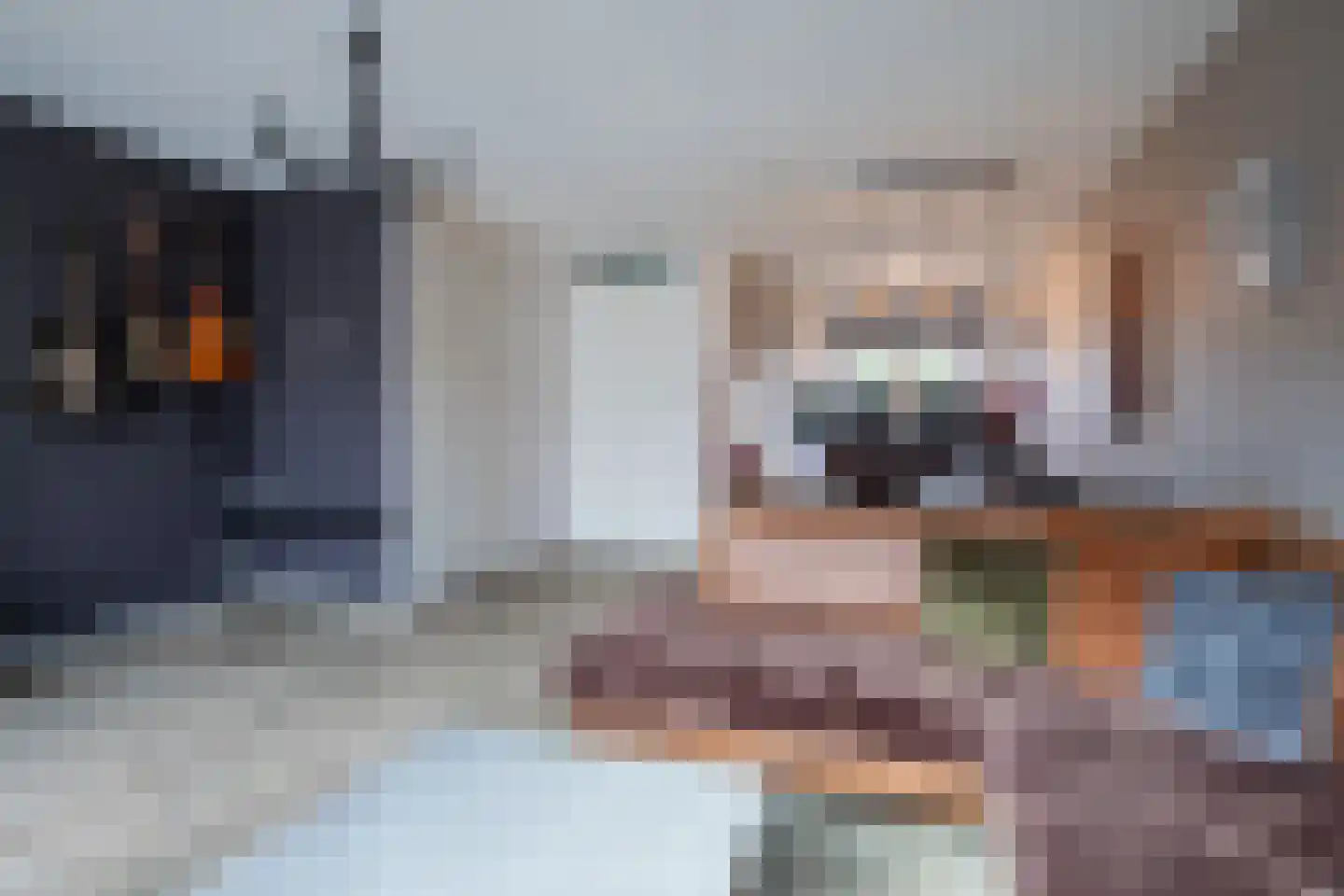 Hannes Kempkensweg 48 Montfort thumbnail 5