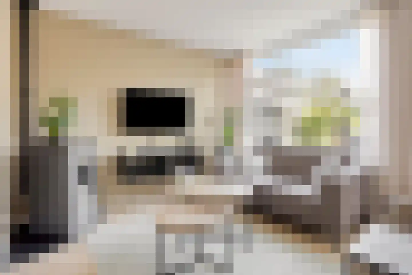 Hannie Schafthof 7 Soest thumbnail 10